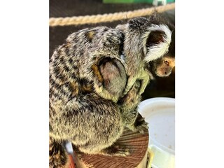 Casa per le vacanze Lauwersoog Ambiente 35