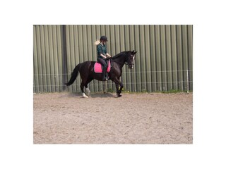 Casa per le vacanze Lauwersoog Ambiente 36