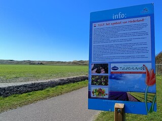 Appartamento Julianadorp Ambiente 33