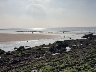 Appartamento Julianadorp Ambiente 29