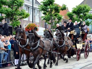 Appartamento Julianadorp Ambiente 36