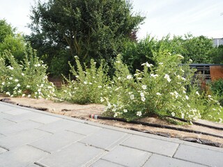 Vakantieappartement Üxheim Kenmerken 31