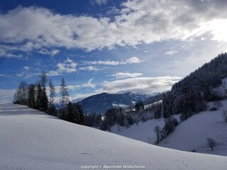 Appartement Wildschönau-Oberau Environnement 32
