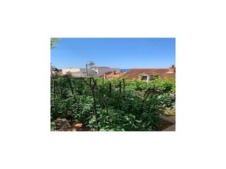 Apartamento Dubrovnik Grabación al aire libre 3
