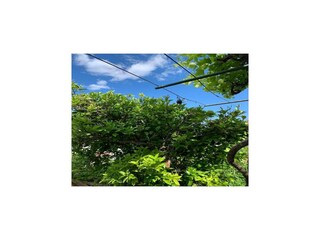 Apartamento Dubrovnik Grabación al aire libre 6