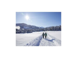thumb-Winterwandern-am-Penningberg-5