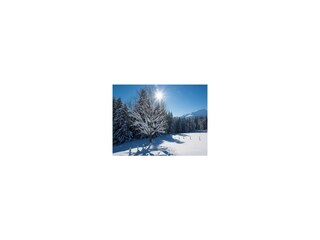 thumb01-042-16-franzgerdl-reg-st.-johann-1590-