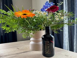 Maison de vacances Sint-Maartensdijk  37