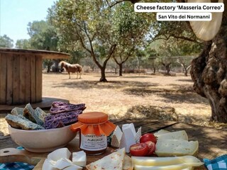 Farm and cheese factory