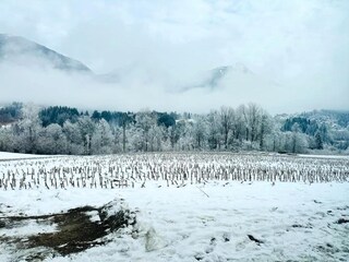 Chalet Hermagor Entorno 29