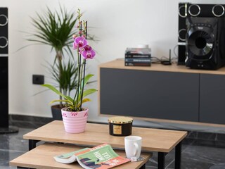 Casa per le vacanze Županići Caratteristiche 11