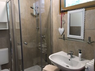 Appartamento per vacanze Ramsau am Dachstein Caratteristiche 4