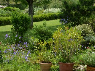 Holiday house Frankreich Outdoor Recording 22