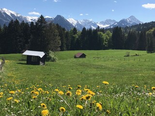 Apartamento de vacaciones Oberstdorf Entorno 14