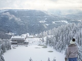 Ferienwohnung Lauf im Schwarzwald Umgebung 26