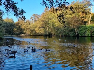 Casa de vacaciones Brenderup  33