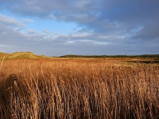 Ferienhaus Løkken  37