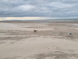 Vakantiehuis Løkken  28