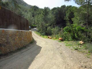 Villa Sant Carles de Peralta Entorno 30