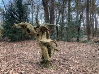 Ferienpark Dalfsen Umgebung 19