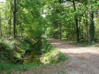 Vakantiepark Dalfsen Omgeving 31
