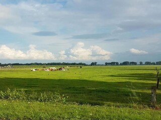 Vakantiepark Dalfsen Omgeving 36