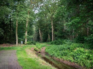 Ferienpark Dalfsen Umgebung 21