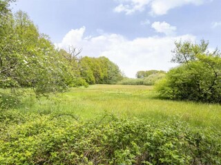 Vakantiepark Dalfsen Omgeving 22