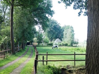 Ferienpark Dalfsen Umgebung 20