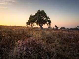 Vakantiepark Dalfsen Omgeving 35