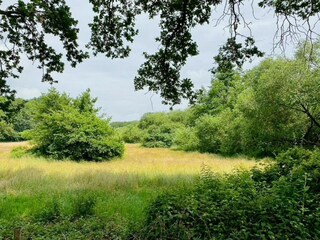 Vakantiepark Dalfsen Omgeving 37