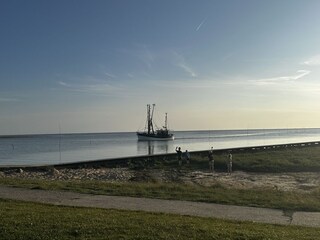 Hafen Spieka Neufeld