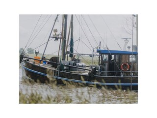 Casa de vacaciones Spieka-Neufeld Entorno 19