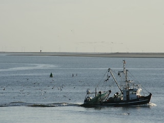 Ferienwohnung Norderney  28