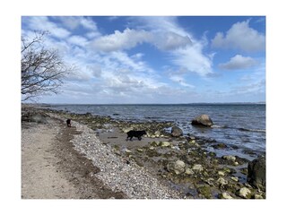 An der Flensburger Förde