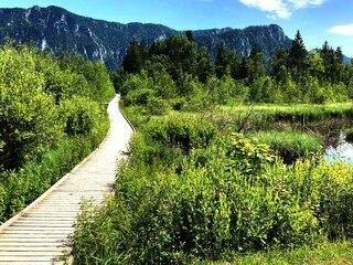 Appartamento per vacanze Inzell Ambiente 12