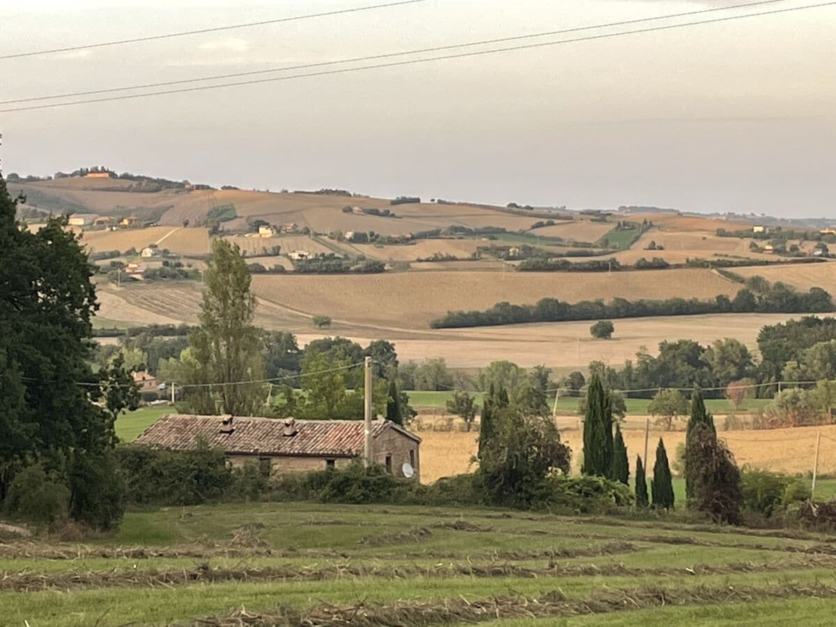 Ferienhaus San Lorenzo in Campo Außenaufnahme 17