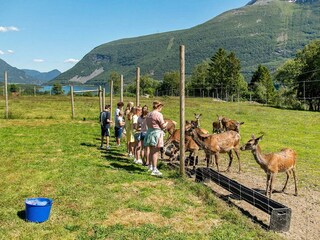 Vakantiehuis Bremanger  38