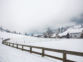 Appartement Muhr Omgeving 41