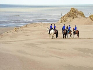 Appartement De Haan Environnement 18