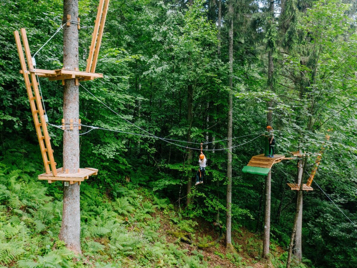 Flying-fox-park Wildenstein