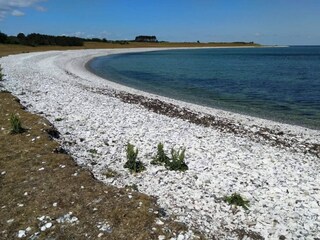 Casa per le vacanze Grenaa  5