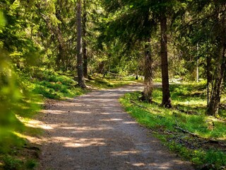 Ferienhaus Pålsboda Außenaufnahme 3