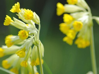 Vakantiehuis Pålsboda Buitenaudio-opname 1