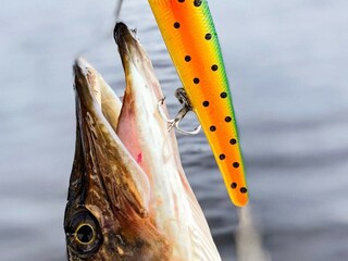 Ferienhaus Pålsboda Außenaufnahme 6