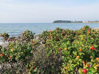 Maison de vacances Assens  8