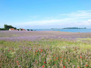 Maison de vacances Assens  16