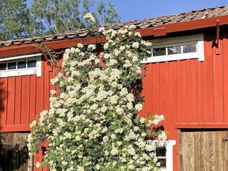 Ferienhaus Gräddö Außenaufnahme 2