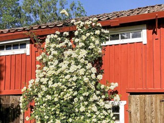 Vakantiehuis Gräddö Buitenaudio-opname 6