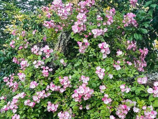 Maison de vacances Gräddö Enregistrement extérieur 5